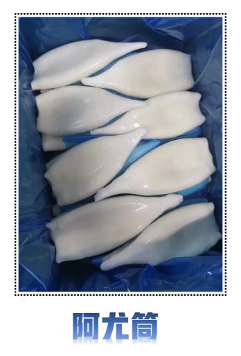 水產(chǎn)魷魚(yú)(圖7)